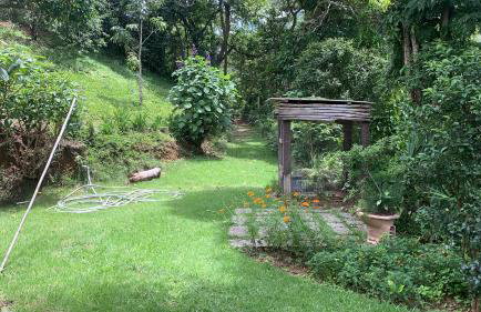 Vale das Estrelas - vale das videiras - araras - Foto 8