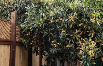 Comfy Home with Game Room & Back Yard - Kid Friendly - Foto 52