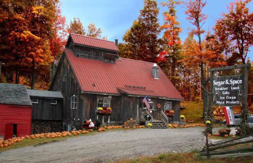 Forest Mountain Escape: Beautiful Mountaintop Escape In Mendon, Vt. 20 Min To Killington/14 To Pico. 4 Bedroom Home - Foto 84