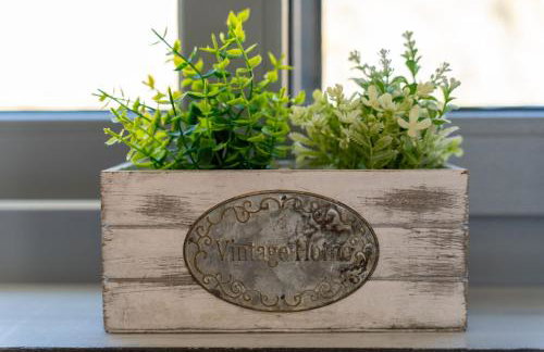 Aphitriti Oxomeria - Foto 41