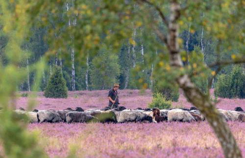 fewo-aller-auszeit - Foto 47