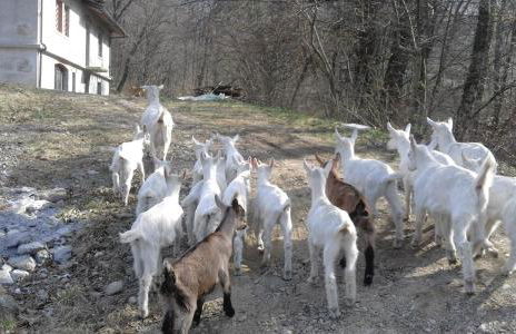 Agriturismo Villa Brugolta - Foto 20