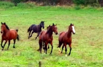 Agriturismo San Filippo - Foto 68