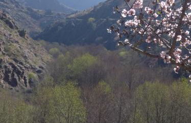 Congidouro - Foto 59