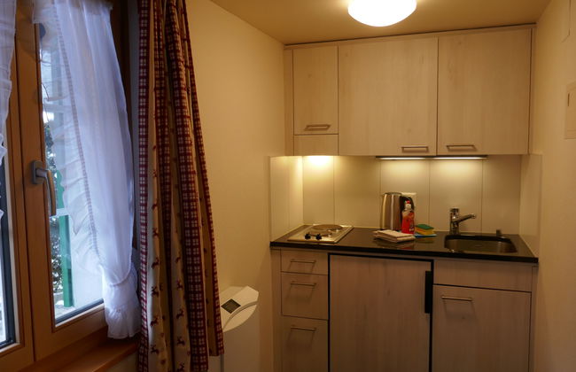 1 bedroom Apartment in Grindelwald with garden - Photo 4