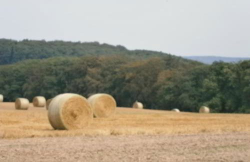Ferienwohnung-malanders - Foto 34