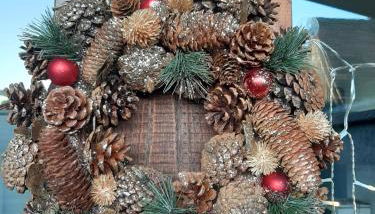 Nid douillet au cœur du vignoble alsacien - Foto 3