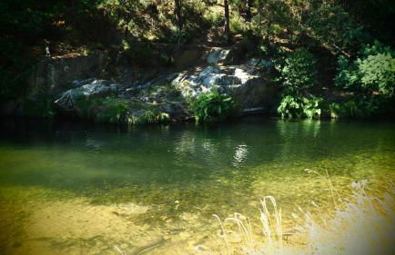 Apartamentos Rurales "La Torre" y "El Pielago" - Foto 52