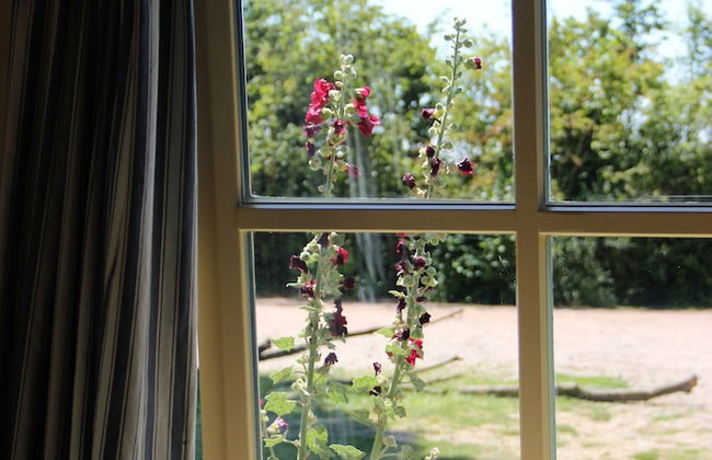 Cozy Vacation Home With Terrace - Photo 31