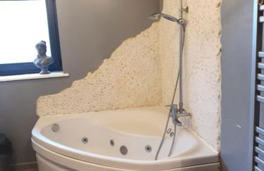 Gîte du "Chat botté" Zoo de Beauval Châteaux de La Loire 4 pers - Foto 12