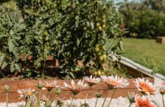 Casa da Teresa - Foto 28