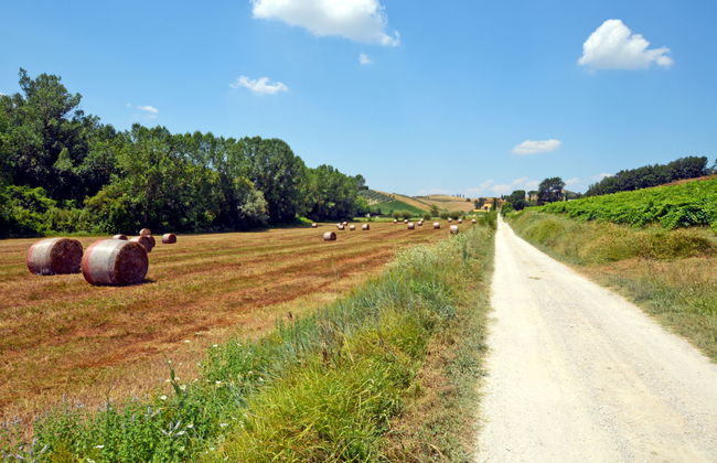 Il Sorriso - Foto 26