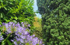 Villa Roz Granit Perros-Guirec - Foto 28