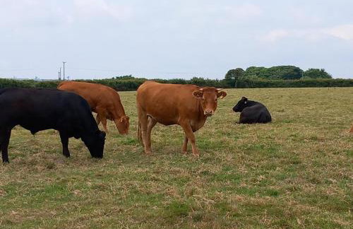 4 Bed in Helston oc-tvall - Foto 22