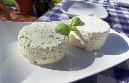 Miętowy Anioł - Foto 70