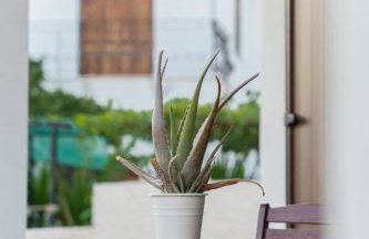 Orion Residence Ι - Foto 42