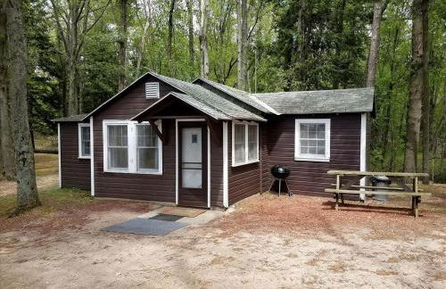 Charming Vacation Cabin with Waterfront Views on Pine Lake, Michigan - Foto 1