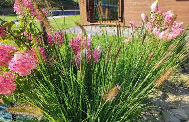 Kraina Rysia - Photo 25