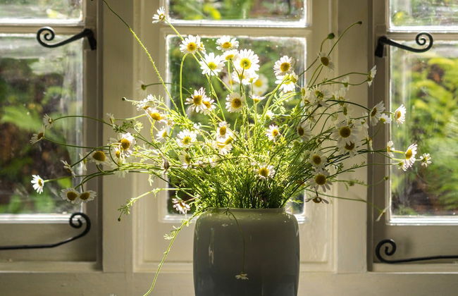 Weeke Brook in Chagford - Foto 31