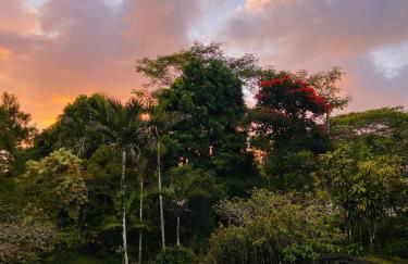 Tropical Jungalow Near the Ocean Cliffs - Foto 17