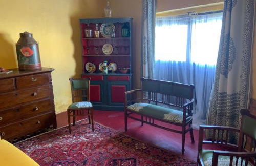 Ilha ALFRIDA - Foto 15