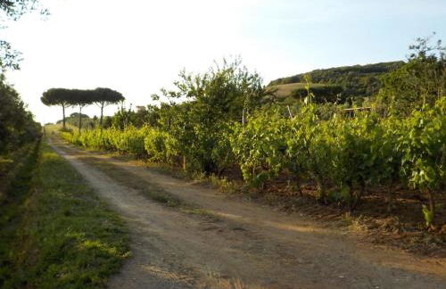 dalla campagna al mare - Foto 24