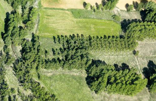 Casa rural L´Amparo -3 espigas- Categoría superior-15 personas - Foto 20