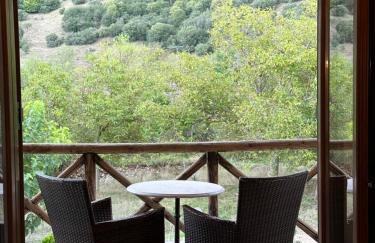 Μούσες - Photo 9