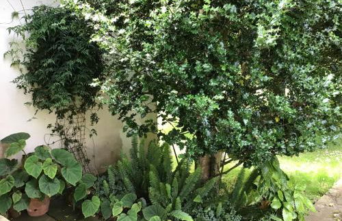 La casa de Cudón - Foto 29