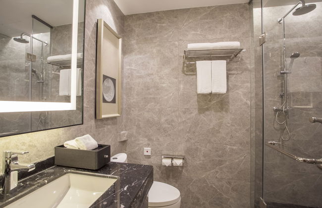 Somerset Yangtze River Chongqing - Foto 47