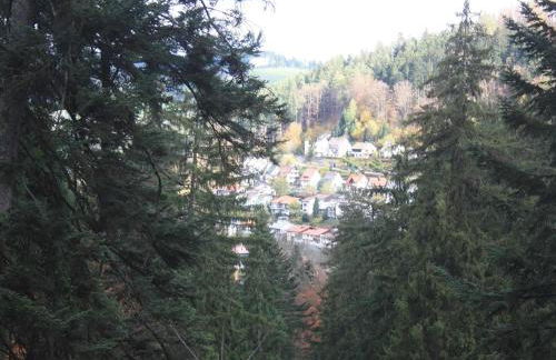RelaxApartments BLACK FOREST DIAMOND direkt an der Hornberger Freilichtbühne - Sonnenterrasse mit Blick auf das Hornberger Schloss, schnelles Internet, für bis zu 2 Personen - Foto 16