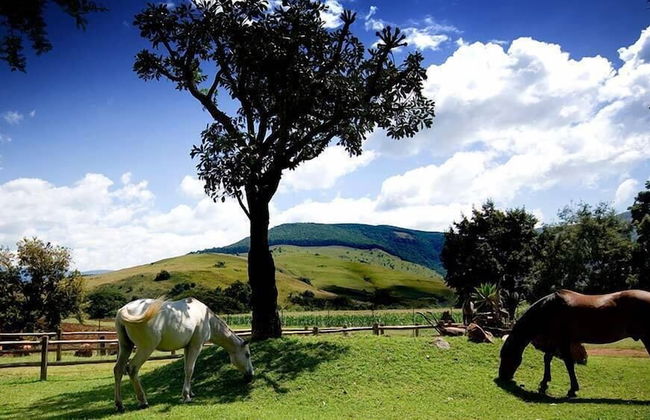 Caracal Lodge - Foto 34