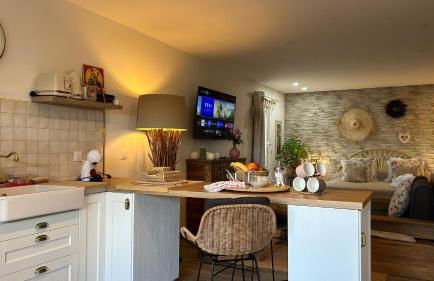 Loft sauna balnéothérapie - Foto 58