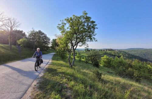 Casa Acqua Dolce - House with 4 Bedrooms and Own Spa - Foto 53