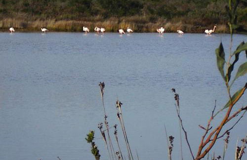 Casetta sul Mare - Foto 5