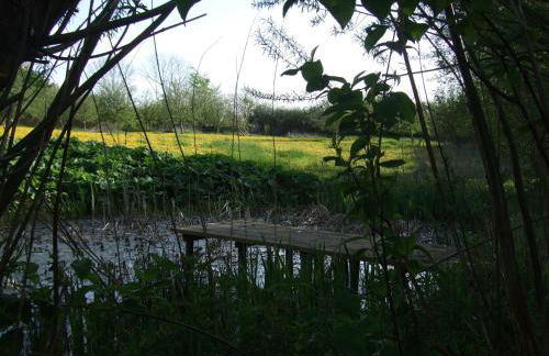 Ferienwohnung Hyggebo - Foto 6
