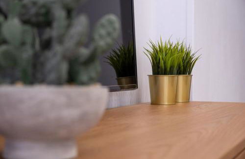 Alma Canteras - Photo 47