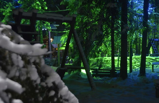 Shishki na Lampushke - Russkaya Derevnya - Foto 9