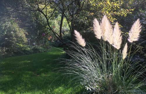 Waldzauber - Foto 23