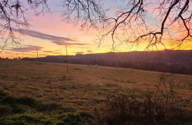 Complex Rural Can Caubet - Foto 27