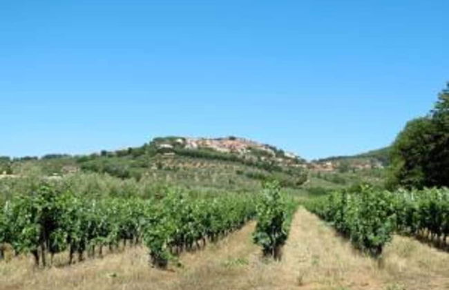 Apartment in Monteverdi Near Wine Tours - Foto 22