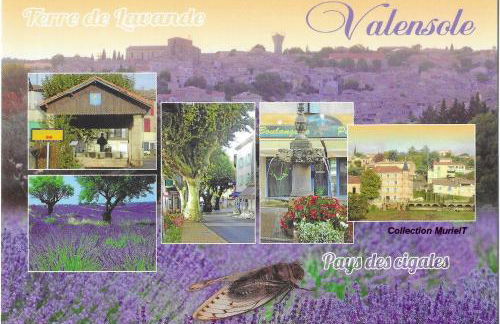 Gîtes Lou Limbert Plateau de Valensole - Foto 24