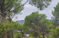 Alojamiento el camarín - Foto 45