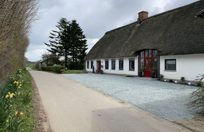 Old Tenne Under Reet in a Single Position - Photo 30