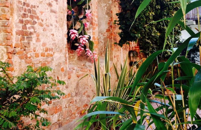 Mood Siro Comi - Foto 23