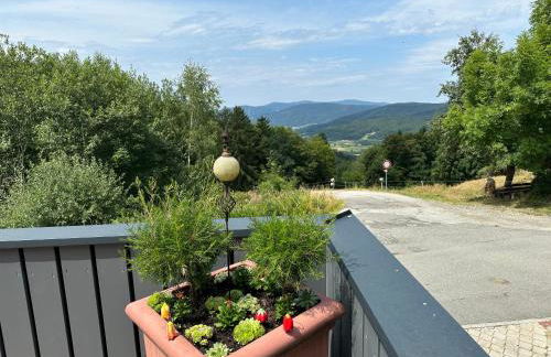 Uriges Apartment + Schönblick + mitten im Bayerischen Wald + WLAN kostenfrei - Foto 13