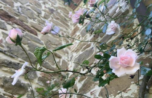 San Lorenzo - Foto 27