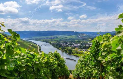 Moselzeit - Ferienwohnung "Riesling" - Foto 25