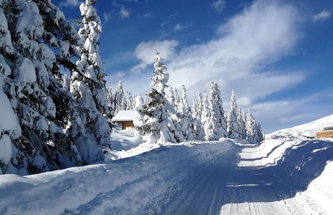 Apartment in Hollersbach Near Ski Lift - Foto 26