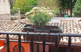 El Rincon De Luna - Foto 29